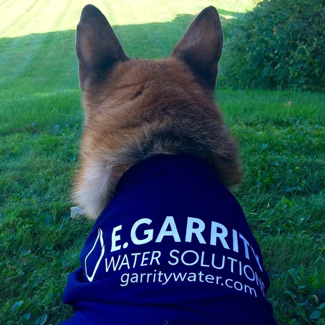 work photo from garritywater.com