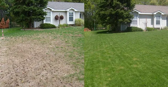 Lawn Aeration