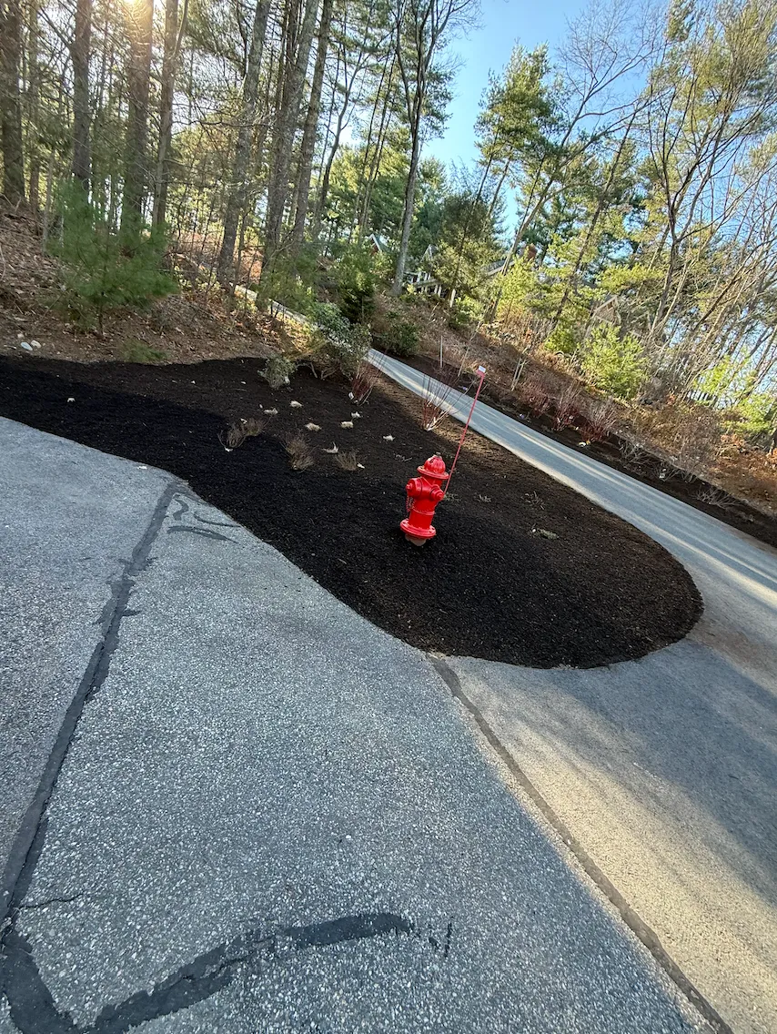 Hydrant Island Planting