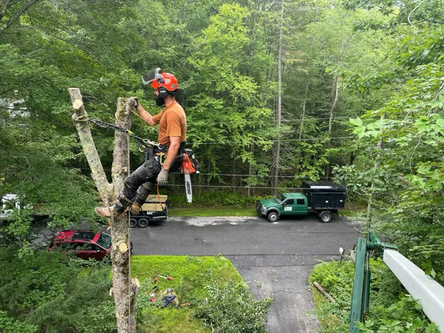 work photo from bowdoinboys.com