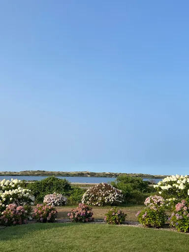 Truro Properties work photo