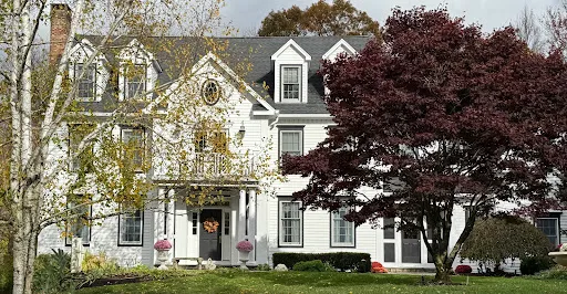 Review photo by Yasmin Assef