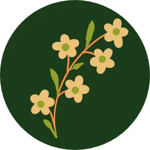 Carlisle Landscape Services logo