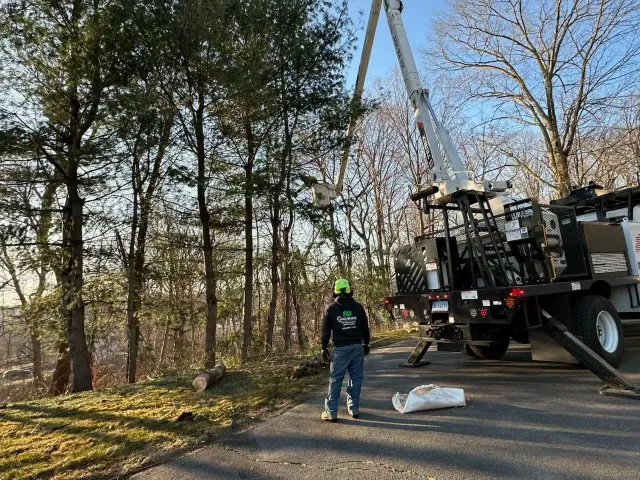 Worker beside crane truck on a tree-lined roadside, with a white bag on the ground.