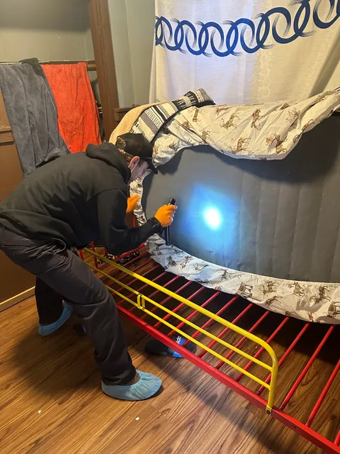 Oxford County Pest Control work photo
