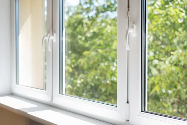 Window.jpg