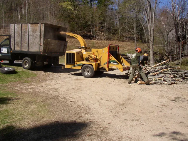 Donovan Tree Removal, LLC work photo