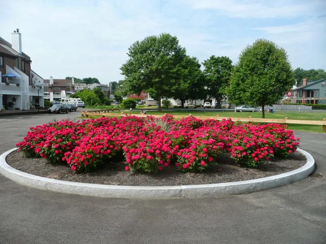 Down To Earth Landscaping work photo