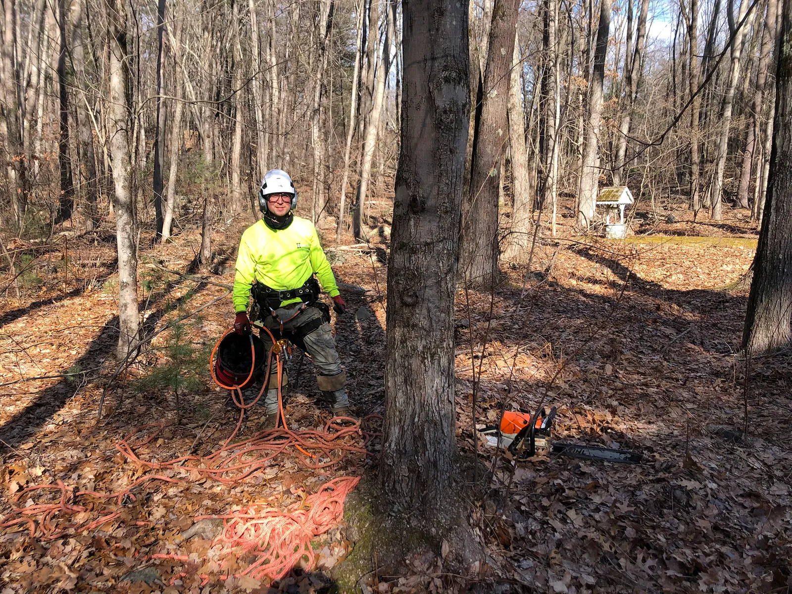 work photo from Google listing