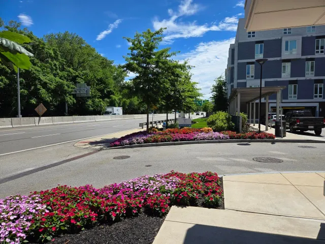 work photo from cunnifflandscape.com
