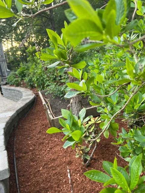 work photo from dsjlandscaping.com