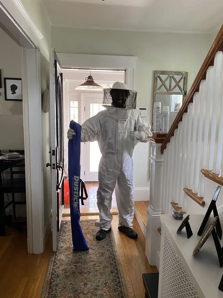 Ladybug Pest Control Services