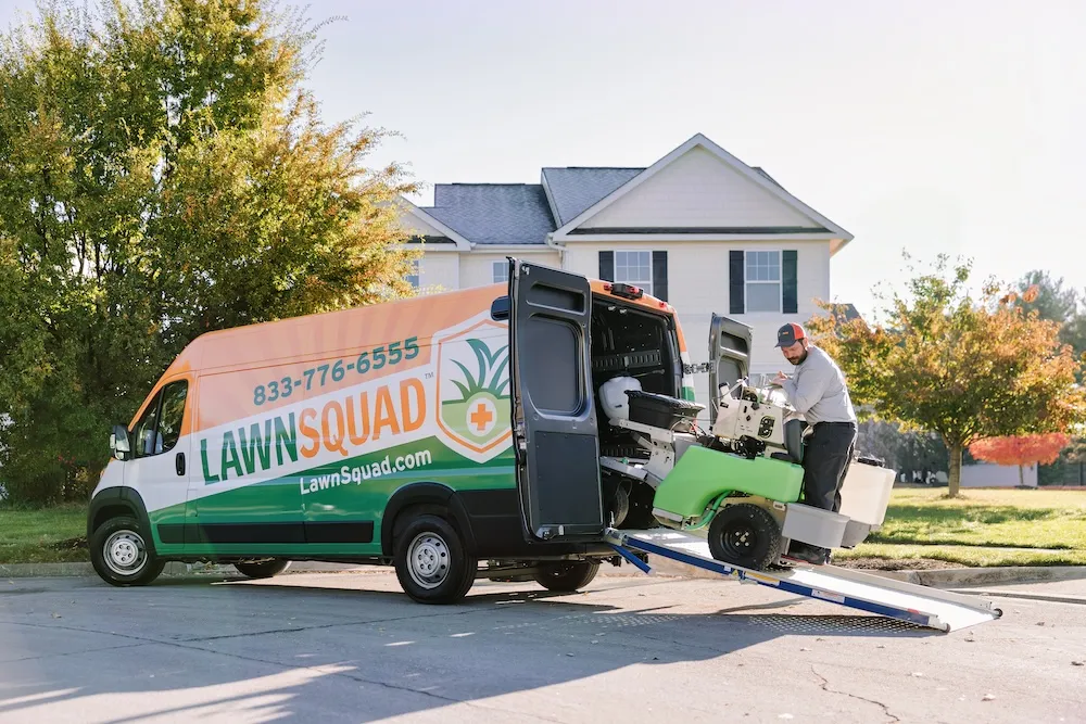 Lawn care service