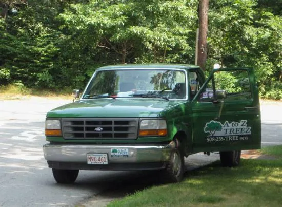 work photo from capecodtreeservices.com