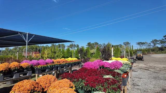 work photo from eganlandscapegroup.com