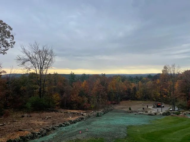 Overcast view of autumnal trees, with a partially seeded lawn in the foreground.