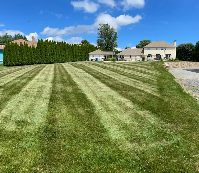 LawnGevity of RI work photo