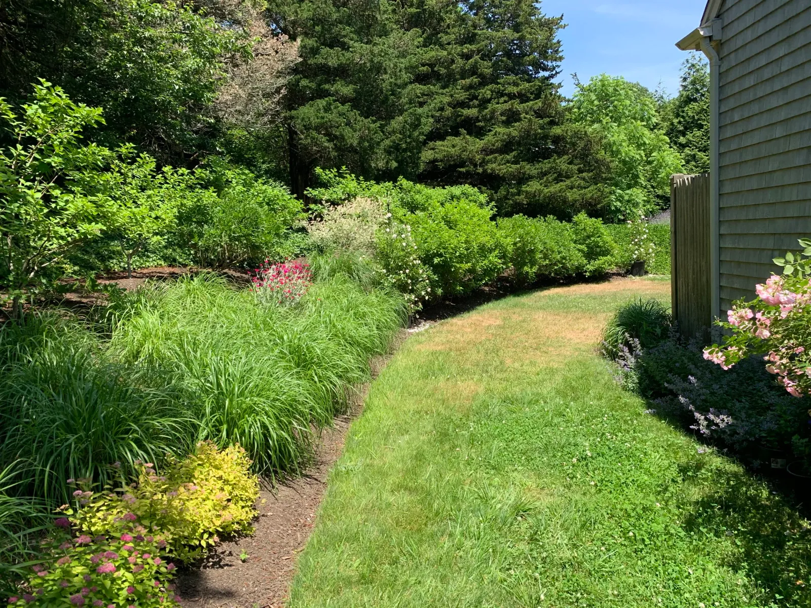 Orleans, Cape Cod meadow, landscaping and gardening