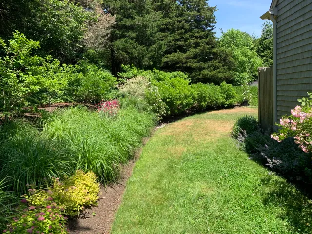Orleans, Cape Cod meadow, landscaping and gardening
