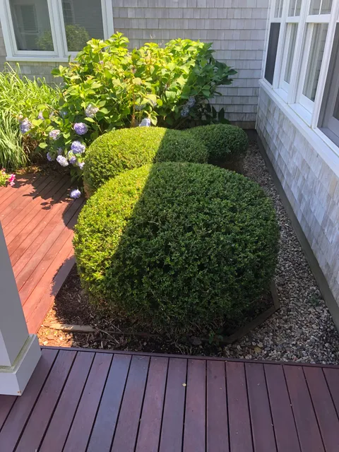 Js Landscape Inc. work photo