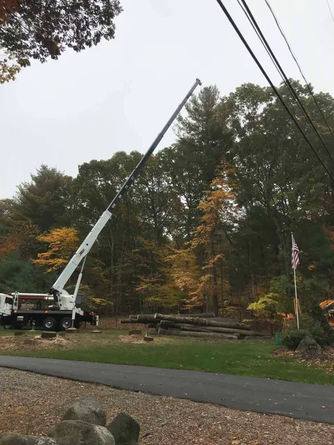 work photo from northsmithfieldtreeservice.com