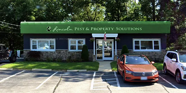 Lincoln Pest Control work photo