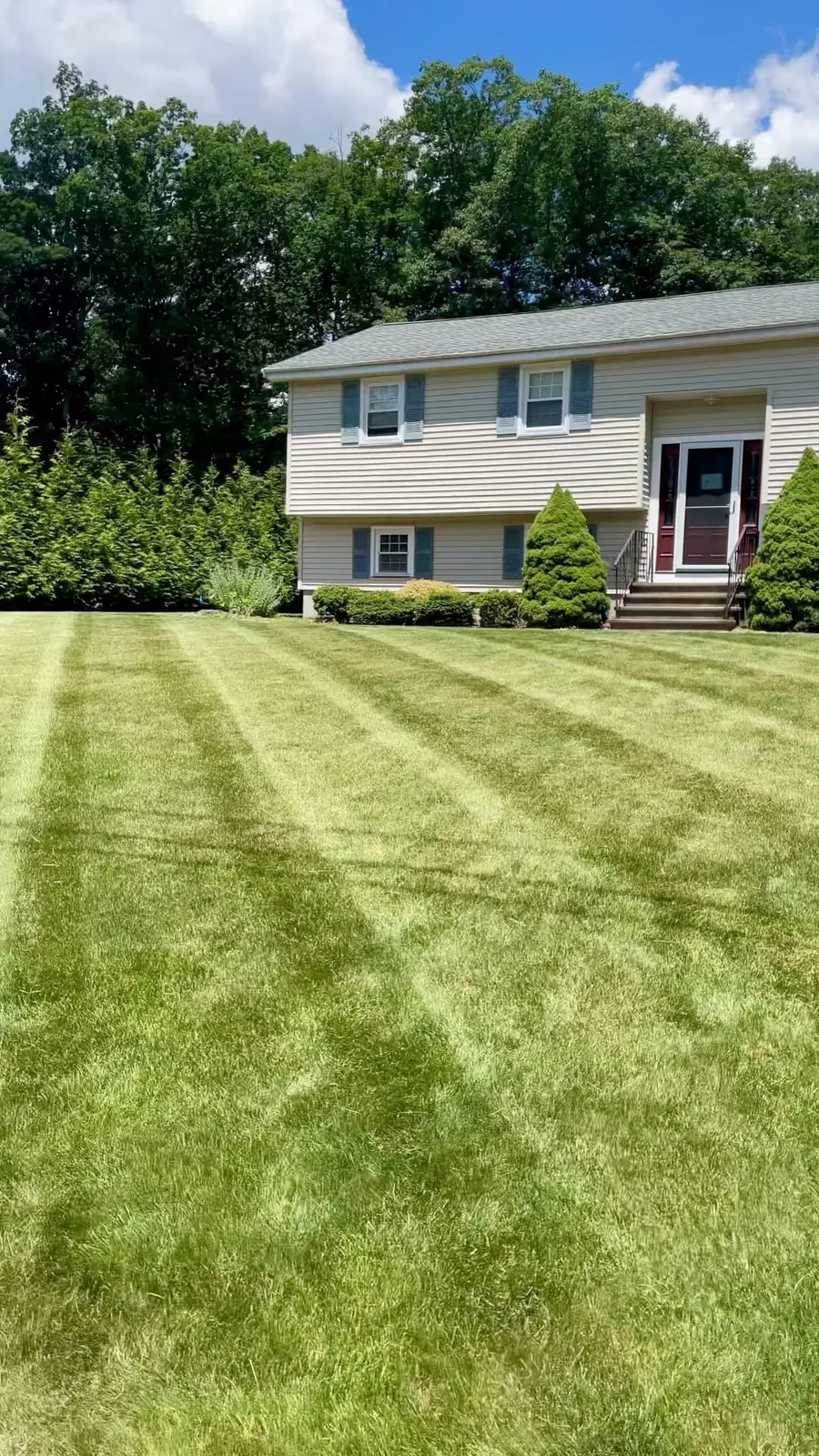 We take lawns seriously 🔒✅🌱

#concordma #hslu #highstlawnunlimited #tallgrass #lawncare #flowers #landscaping #lawncare #planting gardening #lawnmower #color #summer  #stripenation #lawncarenut #lawncarenation
#lawncareservice
#landscapepainting
#landscapes
#yards #mowers #zeroturn #lawncarelife
#landscapers #stripe #stripes #lawncarecommunity
#stripelifegear #longgrass 
#backyard #grass