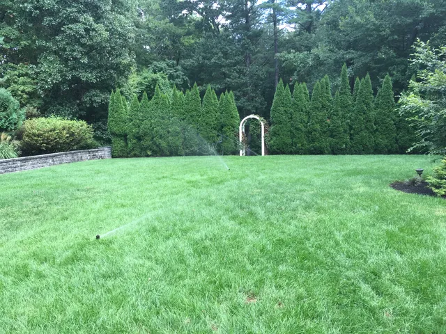 PCA's Landscape and Irrigation, LLC work photo