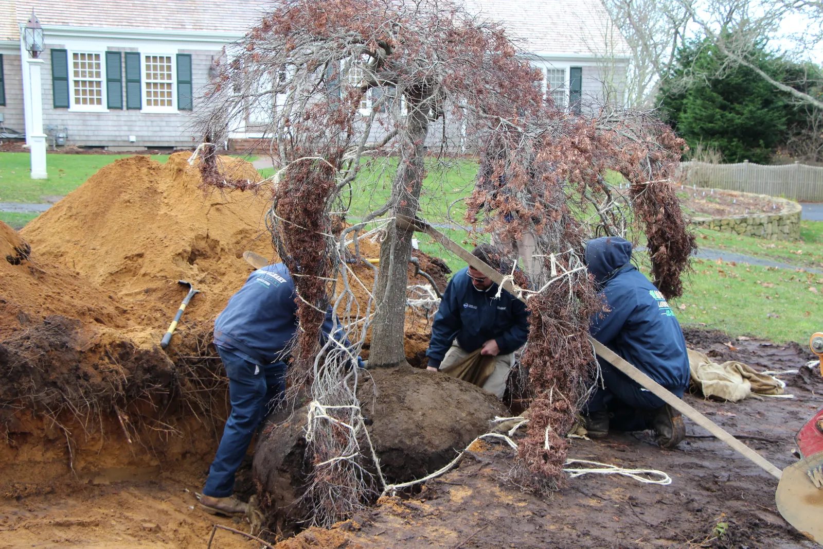 work photo from Google listing