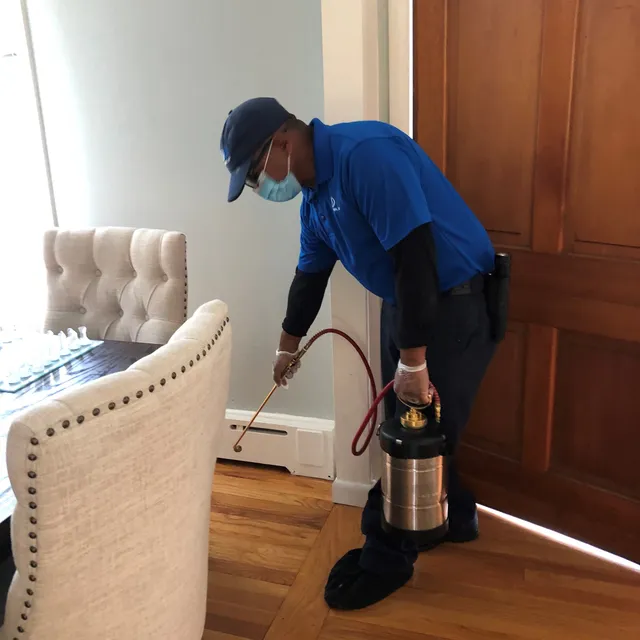Ysoli Pest Control work photo