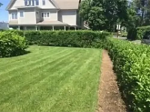 Lawn Installation, Brainerd, MN