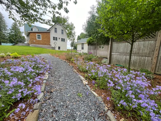 Dicot Landscape Studio work photo
