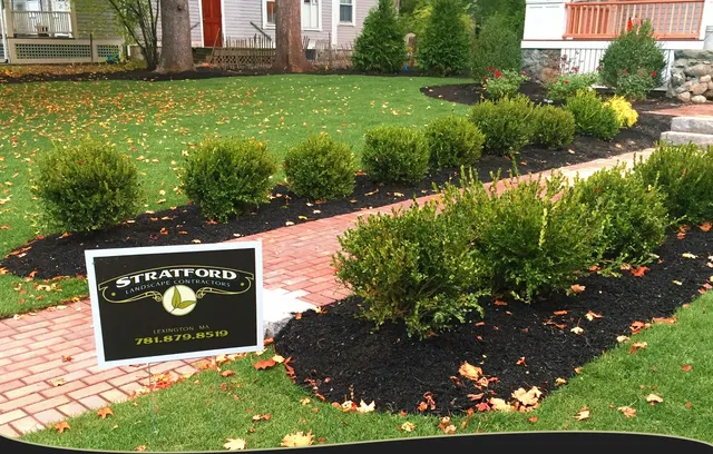 Lexington Landscape Maintenance Care