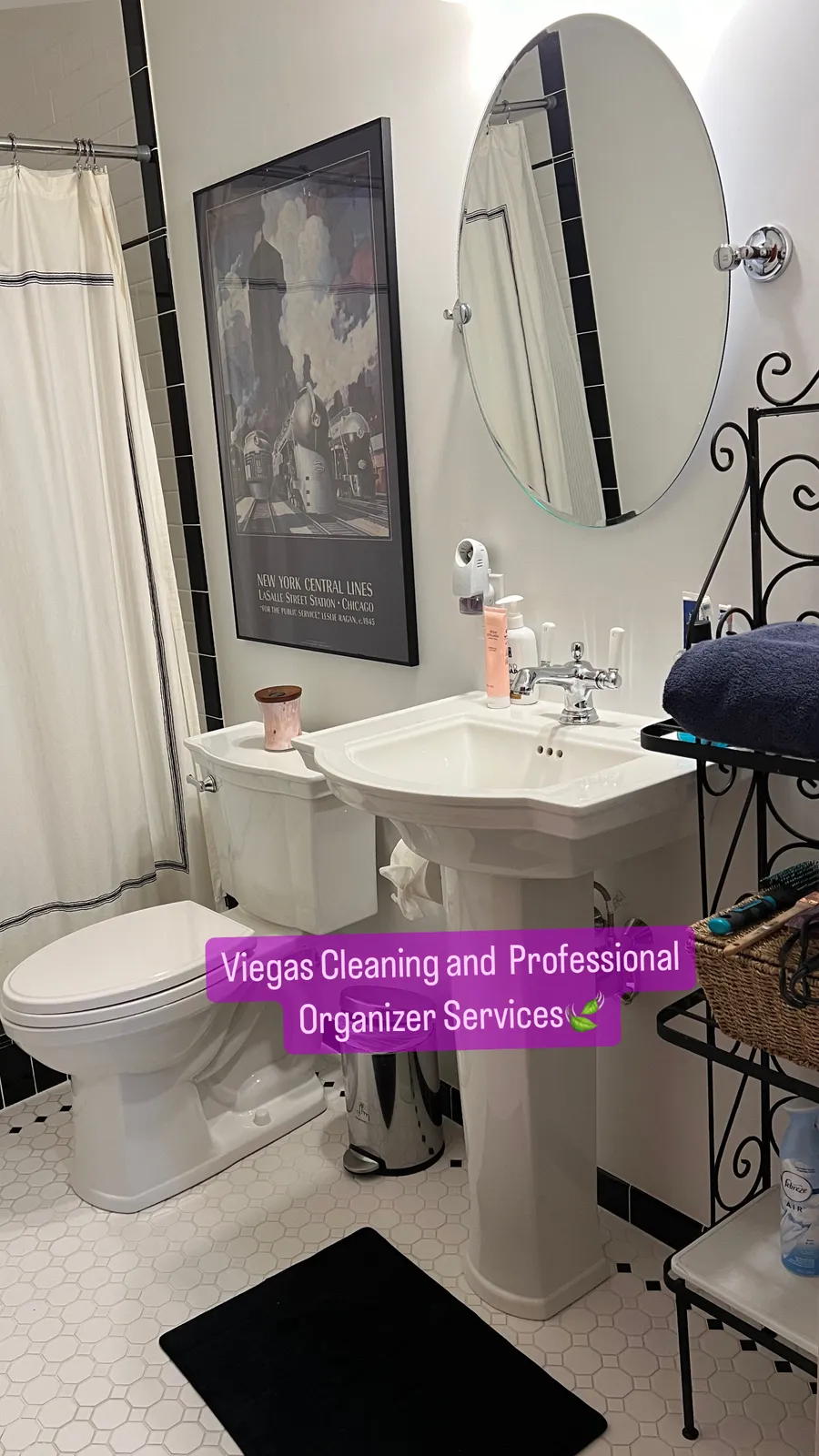 VIEGAS CLEANING AND PROFESSIONAL ORGANIZER SERVICES
