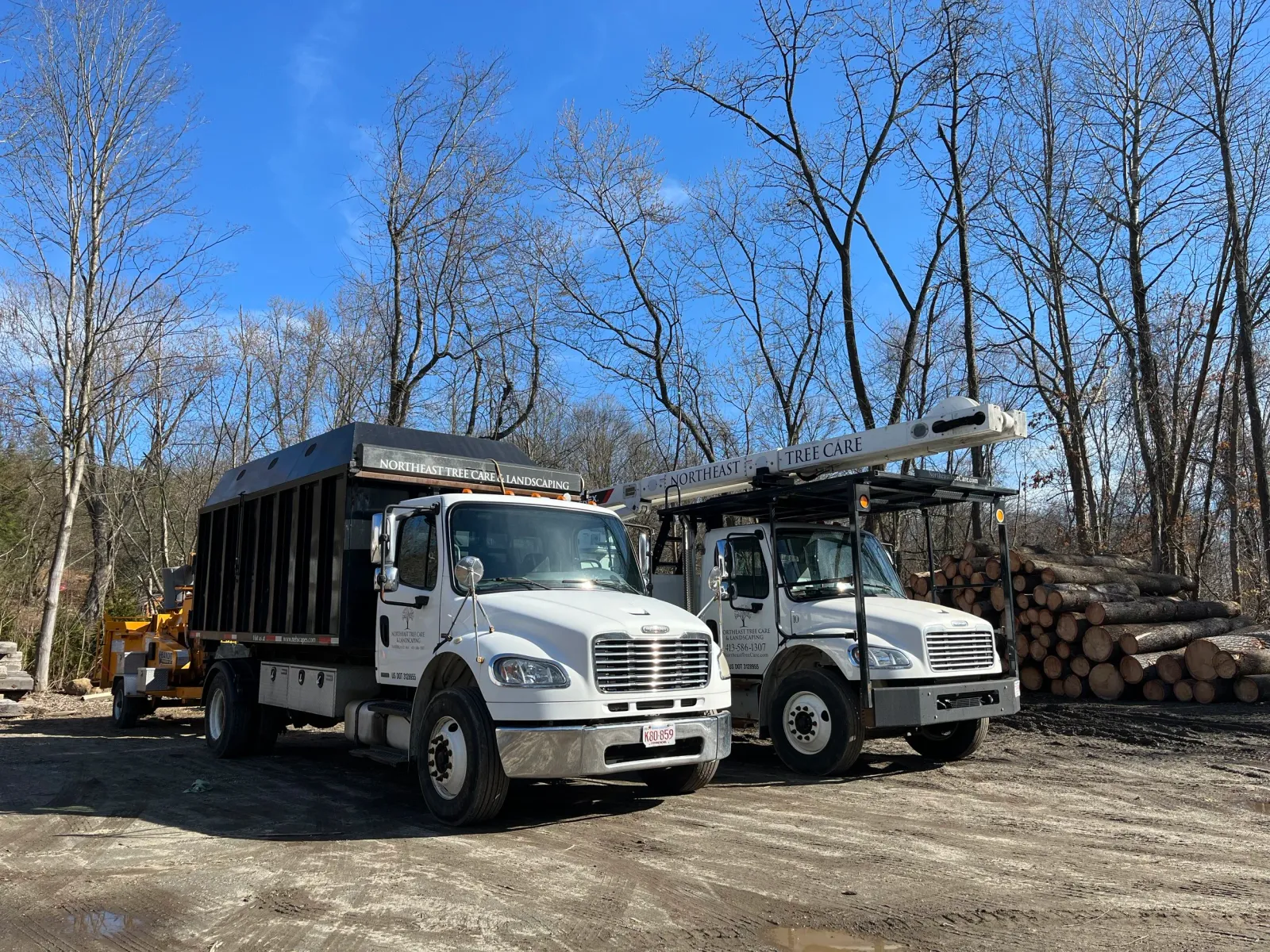 2trucks.jpg