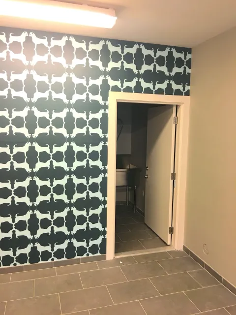 work photo from allseasonwallcovering.com