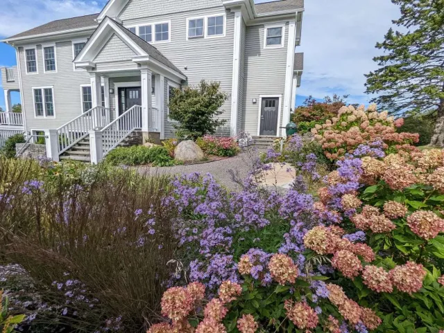 A white house with a garden full of colorful flowers, including purple asters and pink hydrangeas, along a stone-paved pathway.