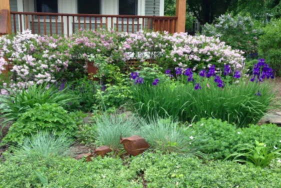 Seth Berman Gardeners researched project photo