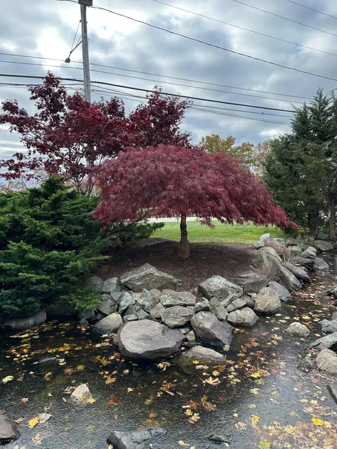 Murtha Landscape work photo