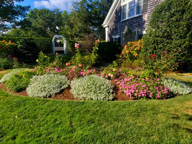 Timothy J Kent Landscape work photo