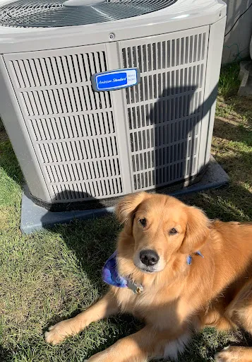 Review photo by MELISSA