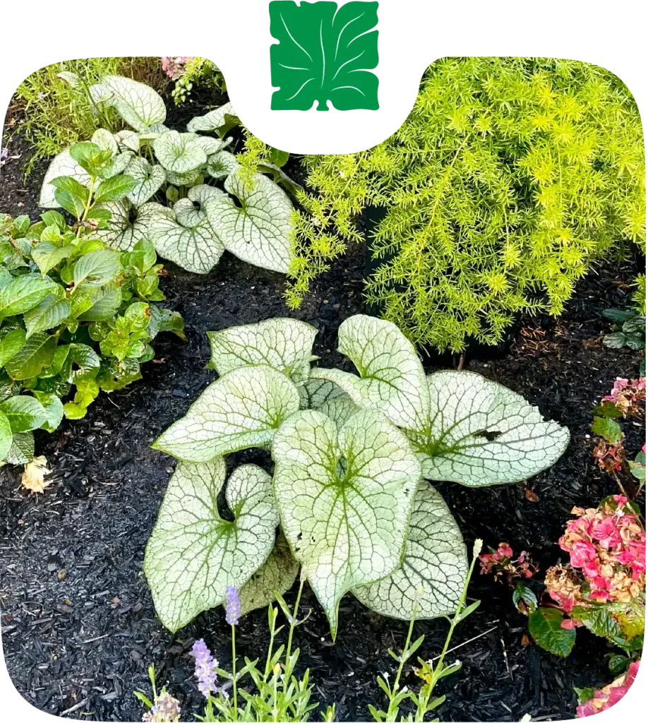work photo from total-landscapes.com