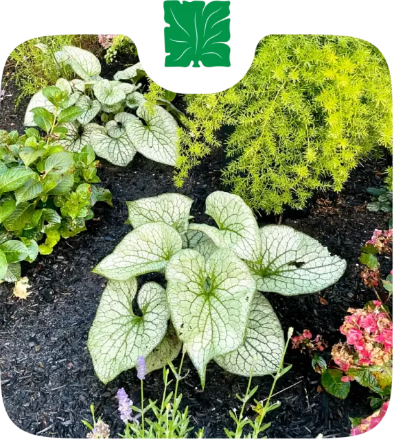 work photo from total-landscapes.com