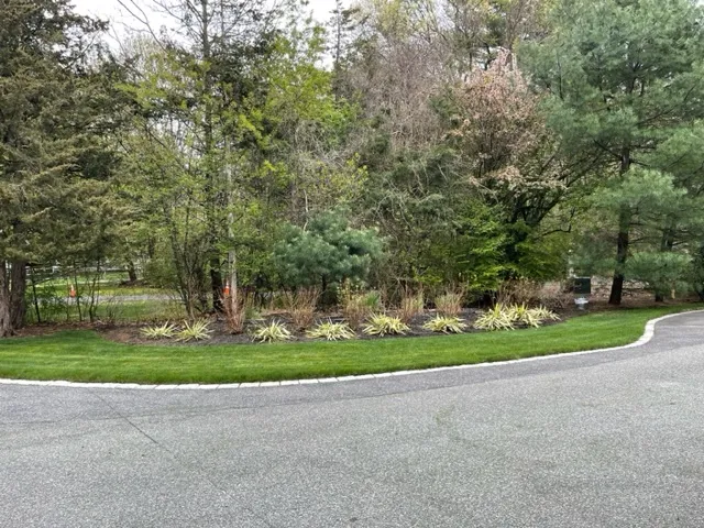Black Dog Landscapes LLC. researched project photo