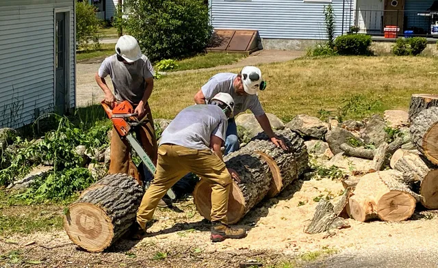 1 2 Tree Company work photo