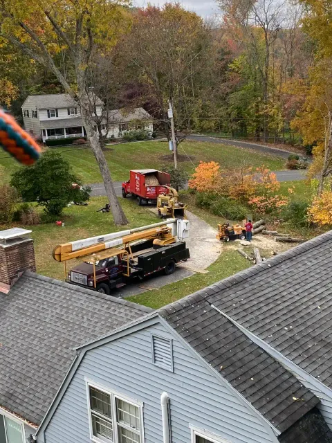 work photo from emltreeservices.com