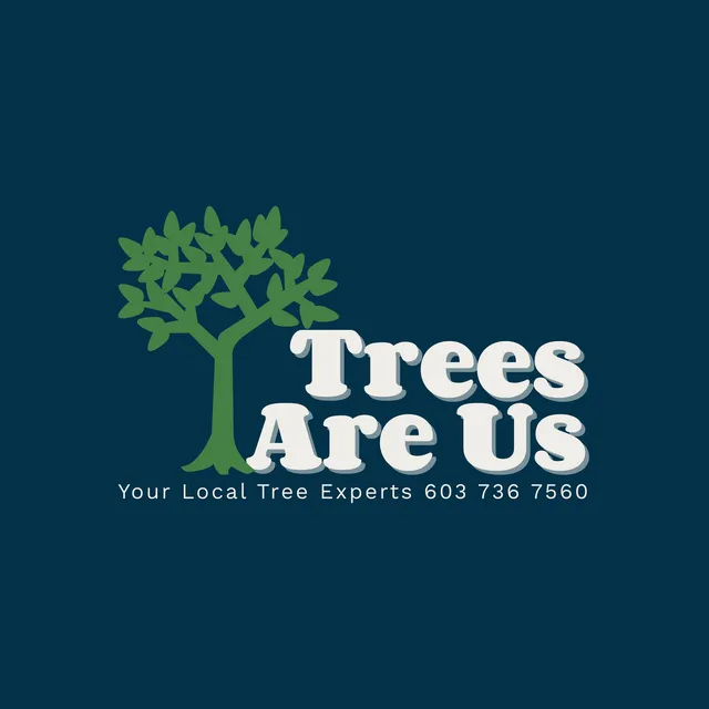 Trees Are Us work photo