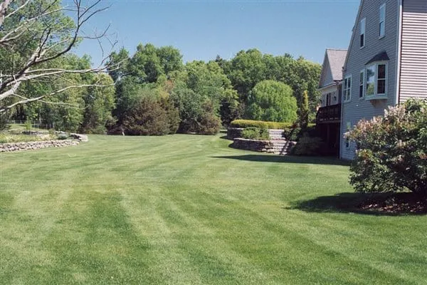 work photo from arbor-turf.com
