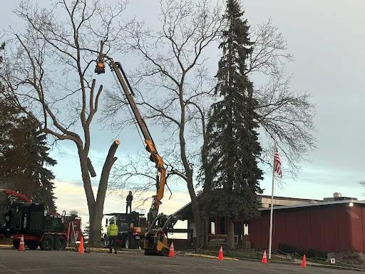 Review photo by Tim Mars