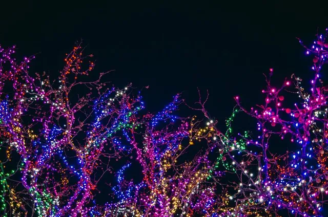 Holiday Lighting
